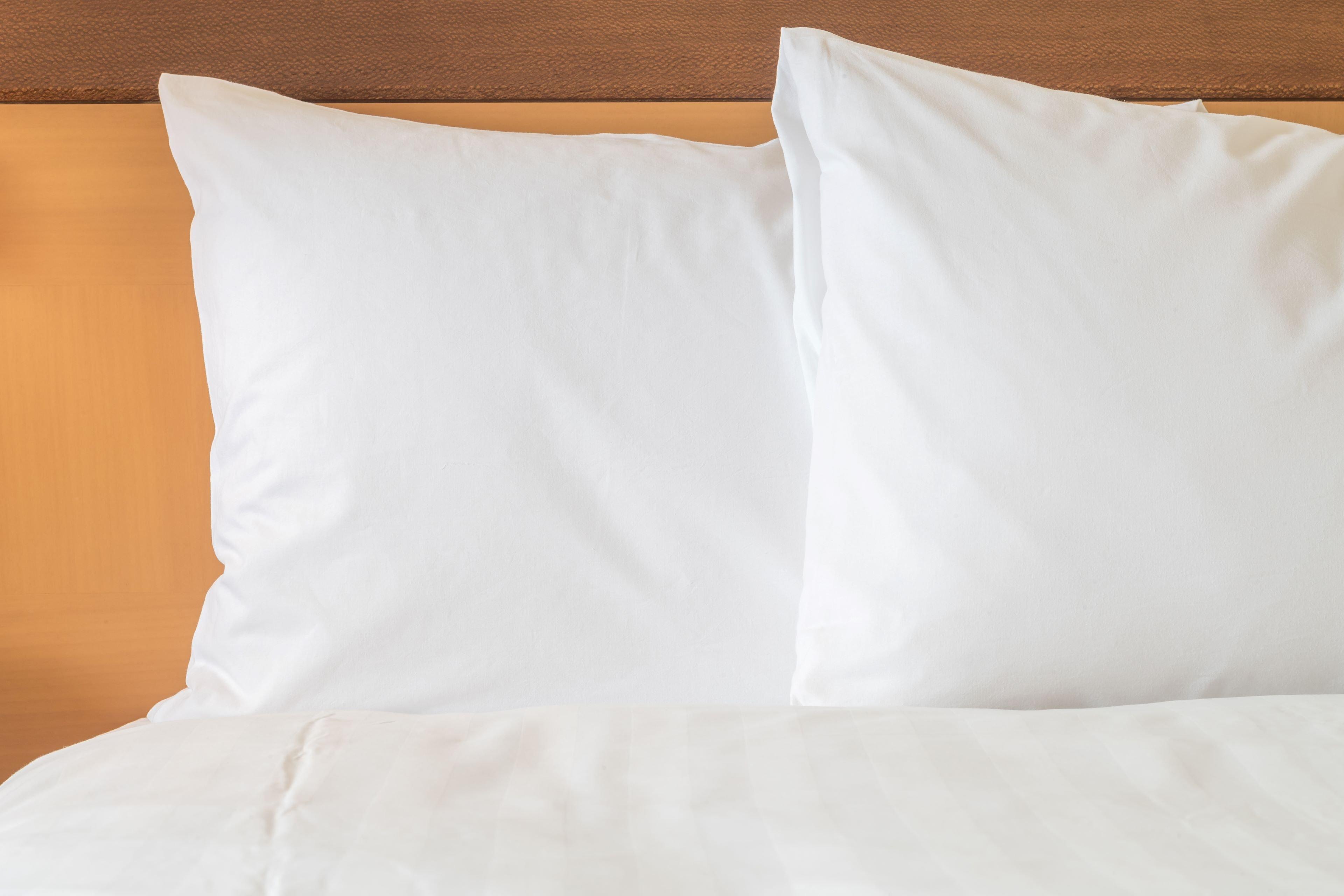 Holiday Inn Express Hotel & Suites Raleigh North - Wake Forest By Ihg Luaran gambar
